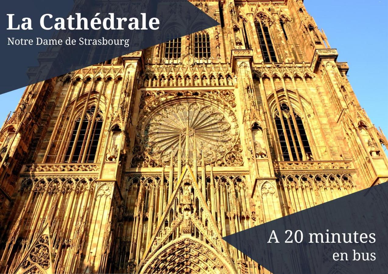 ستشيلتيغهيم Le Reve Bleu - Golden Tree - Wifi - 15Min Centre Ville De Strasbourg المظهر الخارجي الصورة