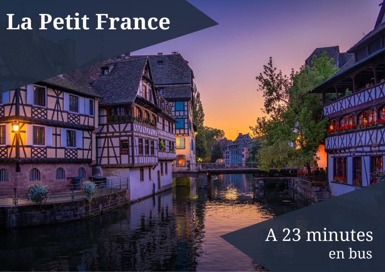ستشيلتيغهيم Le Reve Bleu - Golden Tree - Wifi - 15Min Centre Ville De Strasbourg المظهر الخارجي الصورة